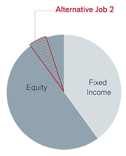 Diversify equity Pie Chart | Janus Henderson Investors