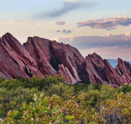 Janus Henderson Terms of Use. Image of red rocks and flower field