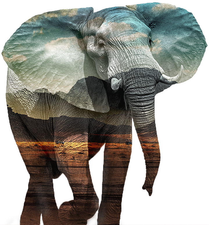 Elephant_Desert_fg