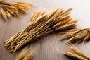 Sifting the wheat from the chaff: a closer look at small cap opportunities