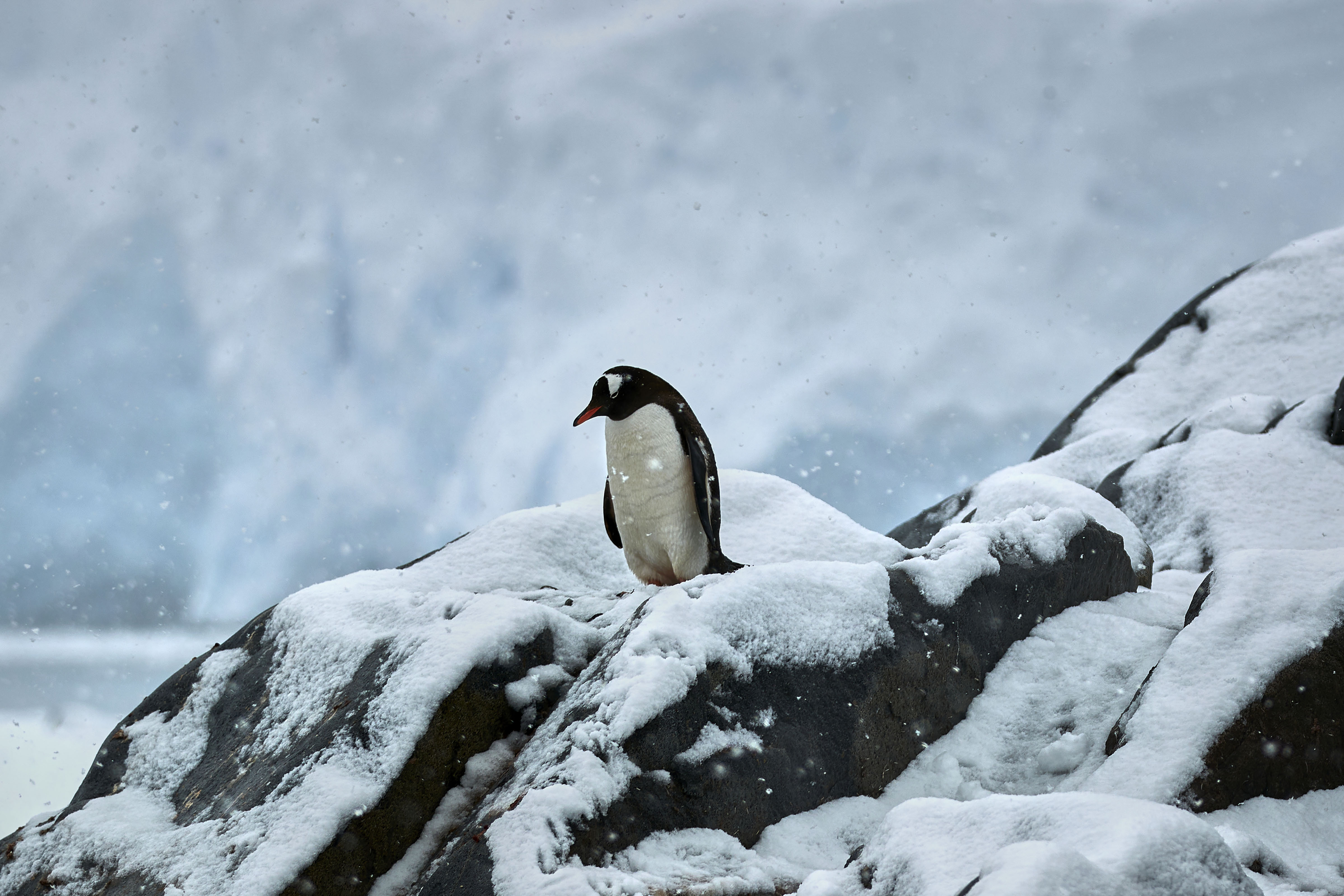 Portfolio Manager Nick Sheridan Considers The Prospects For Global   GettyImages 1468903381 4800x3200 1 