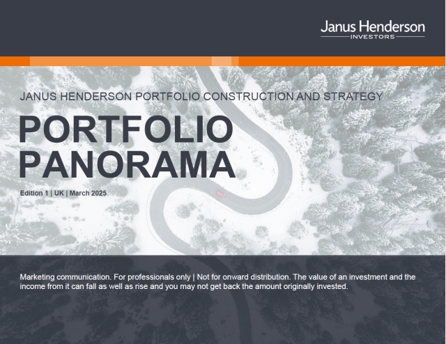 Portfolio Panorama H1 2025: Investor positioning and allocation shifts